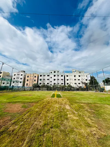Turf photo 2