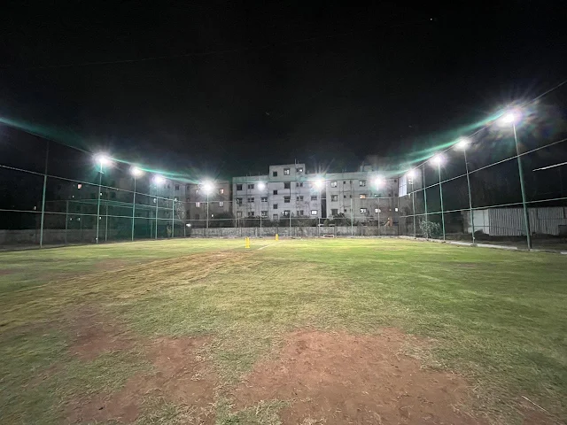 Turf photo 6