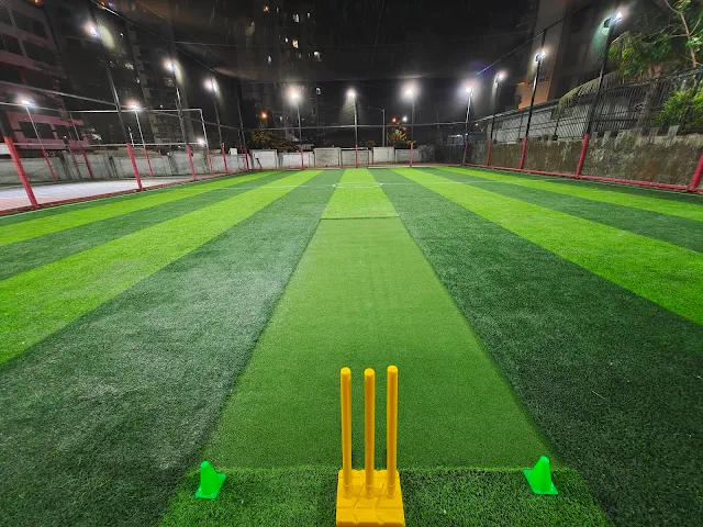 Turf main photo