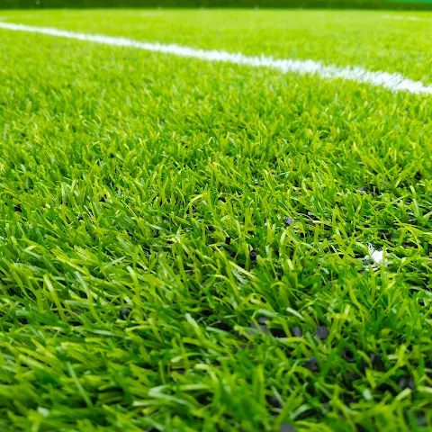 Turf photo 2