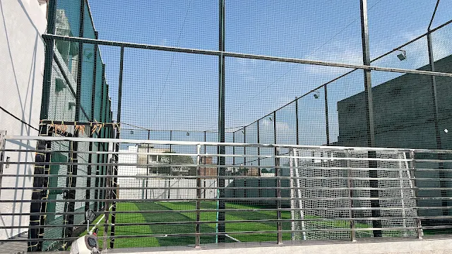 Turf photo 2