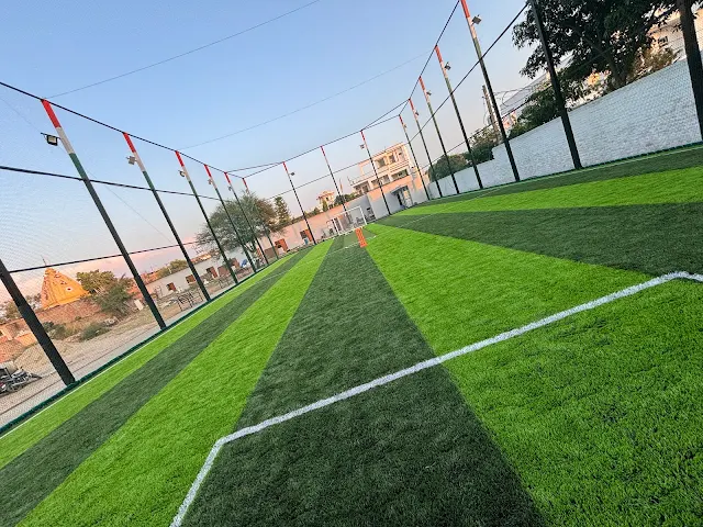 Turf photo 8