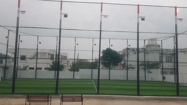 Turf photo 3