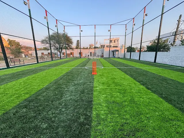 Turf photo 2