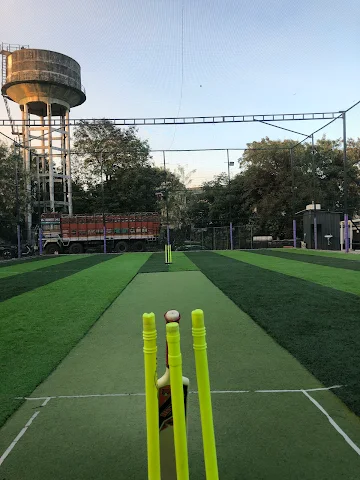 Turf photo 11