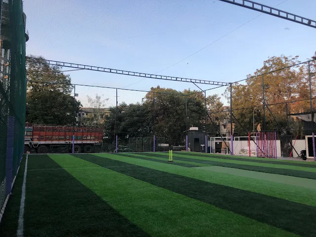 Turf photo 9
