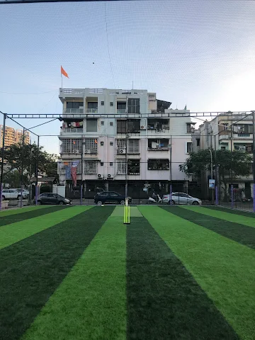 Turf photo 10