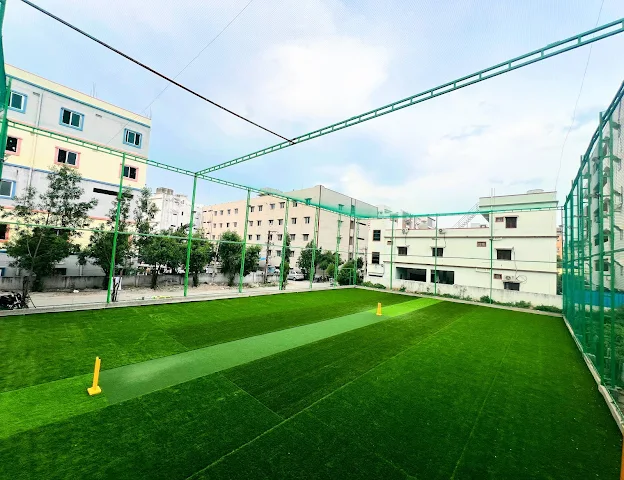 Turf photo 6