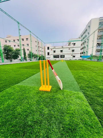 Turf photo 4