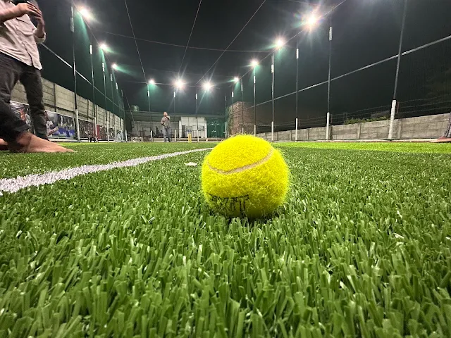 Turf photo 4