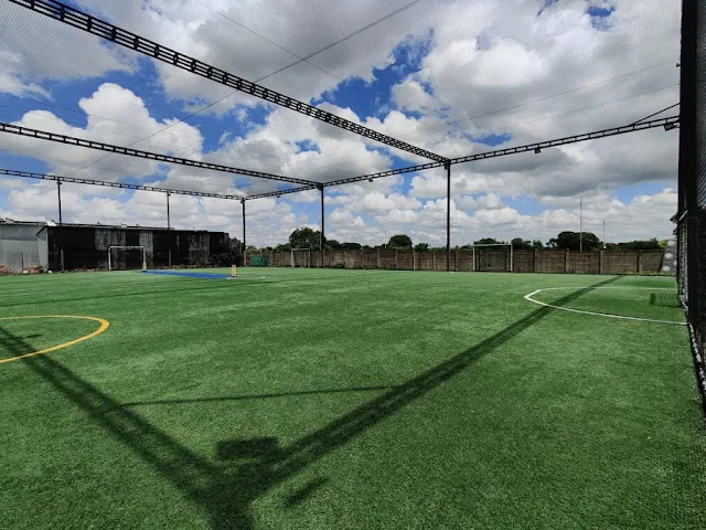Turf photo 3