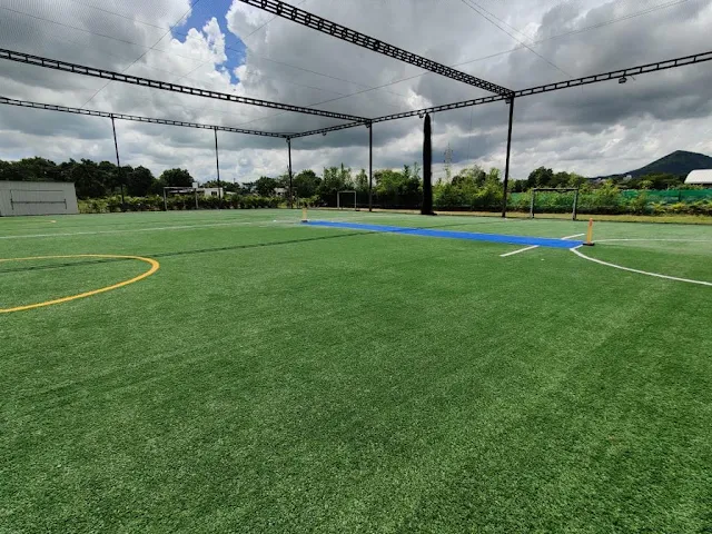 Turf photo 4
