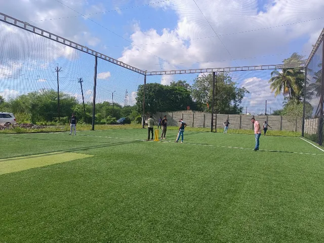 Turf photo 2