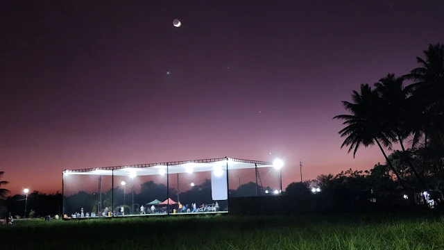 Turf photo 8