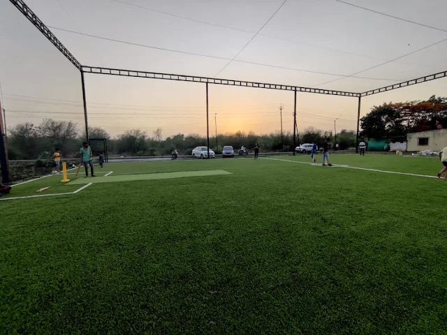 Turf photo 3