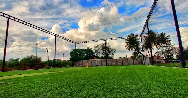 Turf main photo