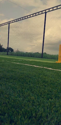Turf photo 9