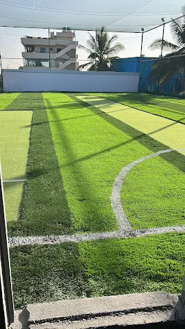 Turf photo 5