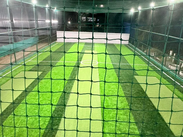 Turf photo 3