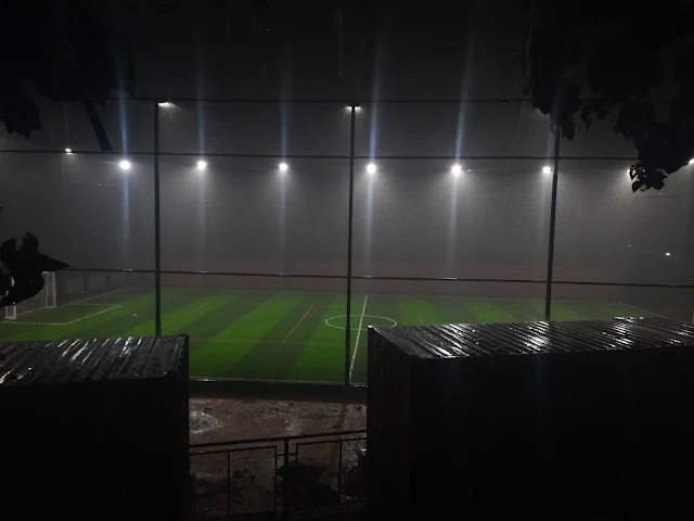 Turf photo 5