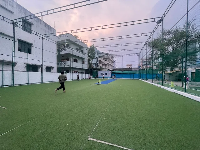 Turf photo 2
