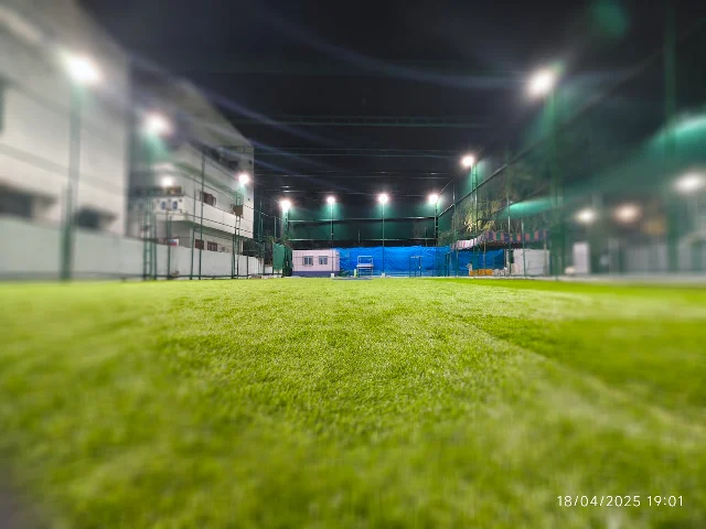 Turf photo 5