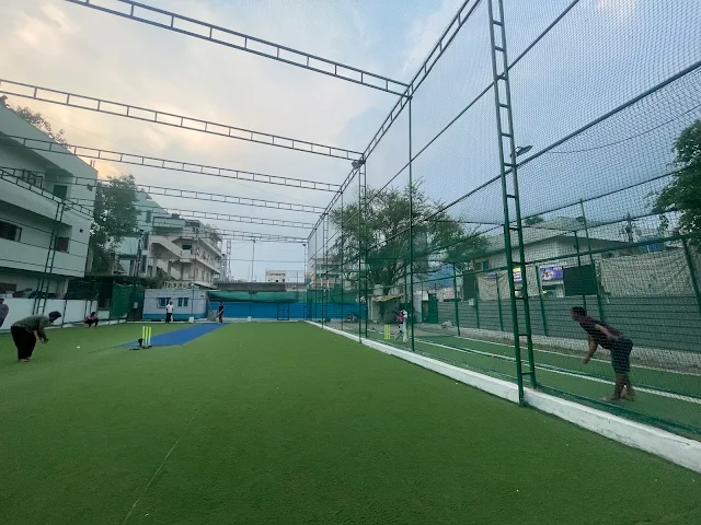 Turf photo 6