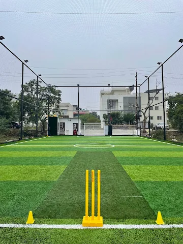 Turf photo 3