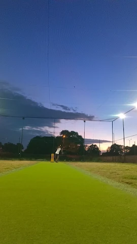 Turf photo 4