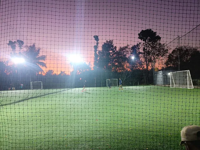 Turf photo 6