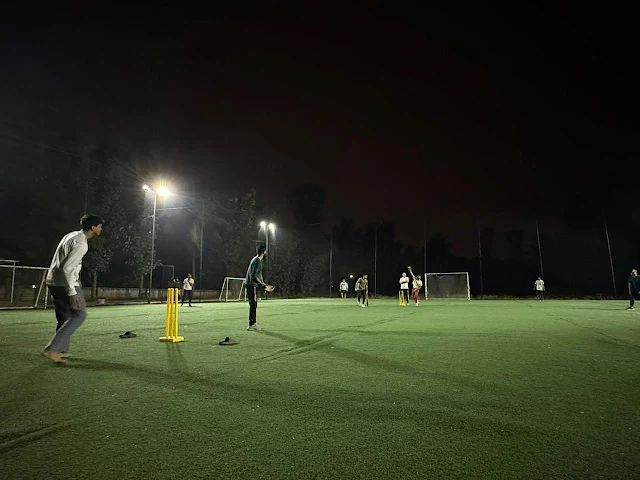 Turf photo 4
