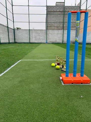 Turf photo 3