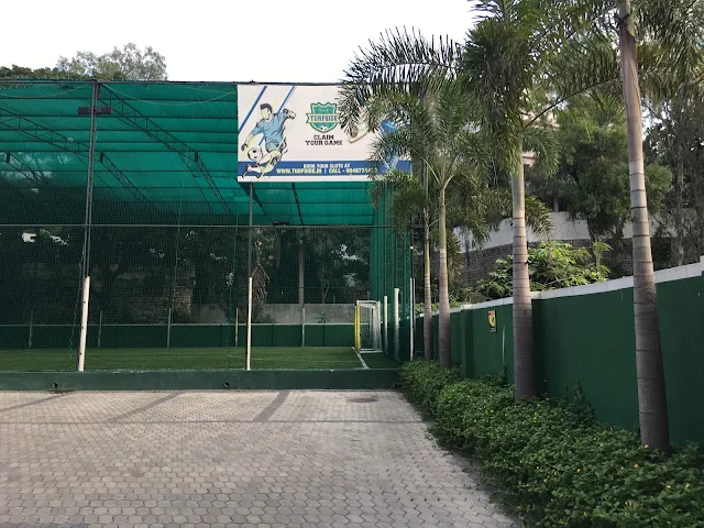 Turf main photo