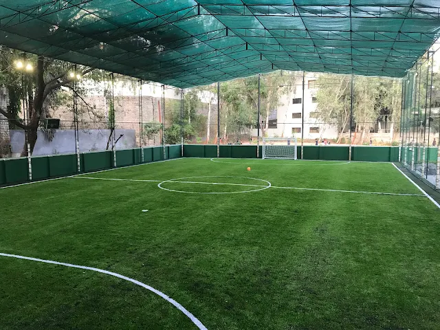 Turf photo 3
