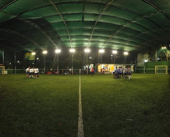 Turf photo 5