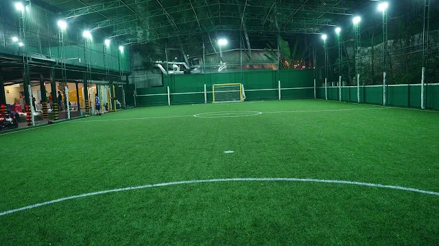 Turf photo 2