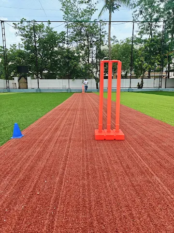 Turf photo 2