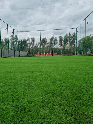 Turf photo 2