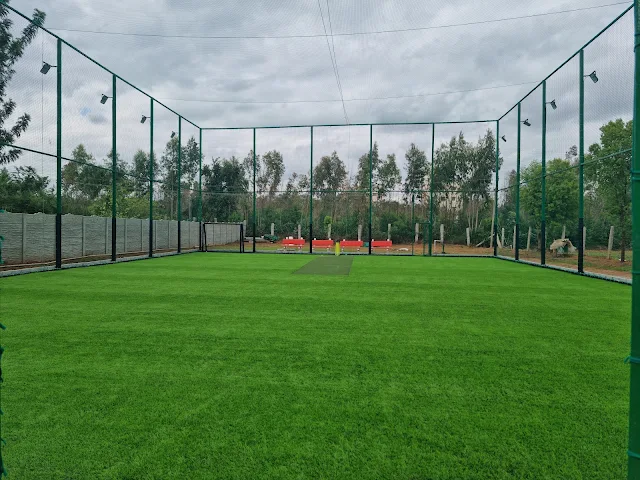 Turf main photo