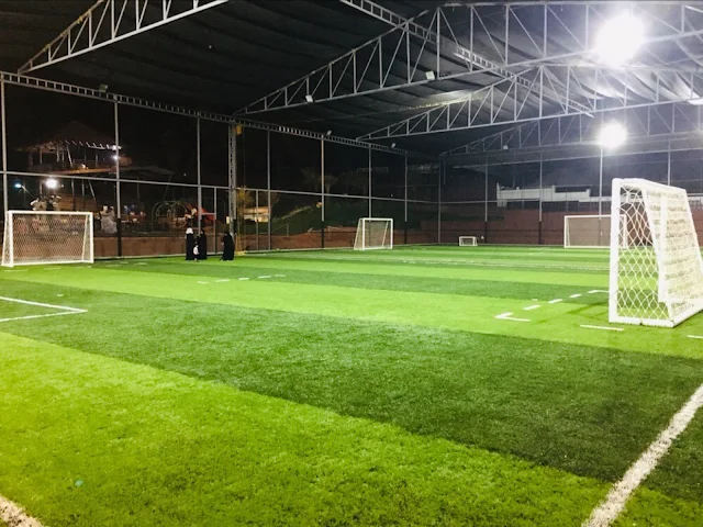 Turf photo 2
