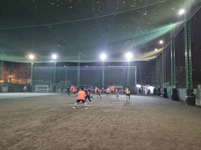 Turf main photo