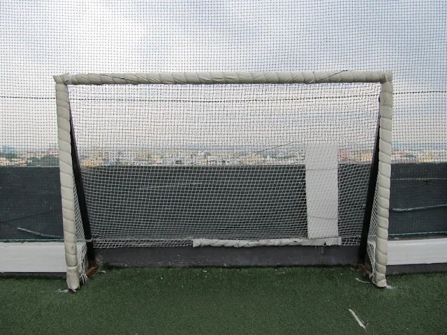 Turf photo 9