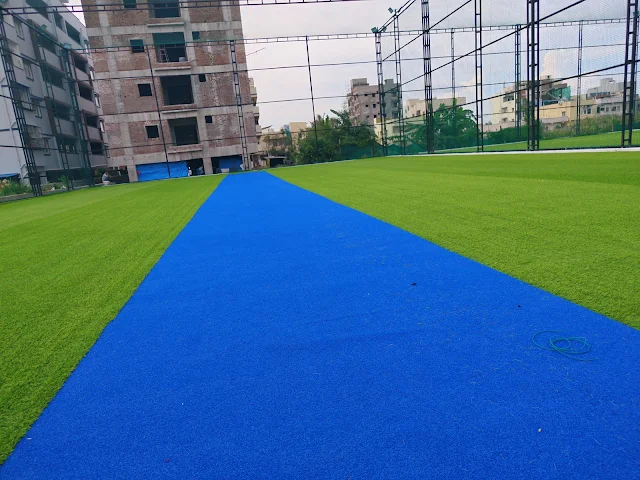 Turf photo 8