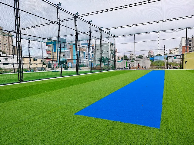 Turf photo 9