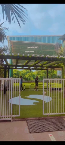 Turf photo 6