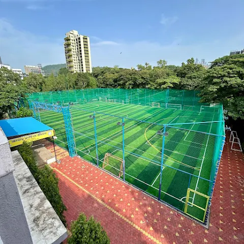 Turf photo 2