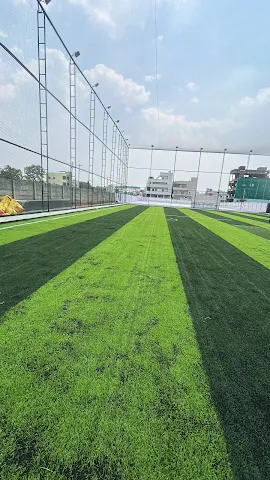 Turf photo 7