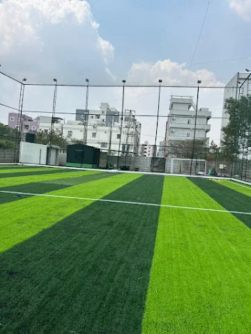 Turf photo 2