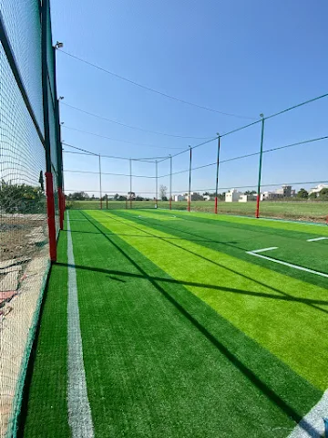 Turf photo 2