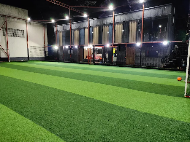 Turf photo 2